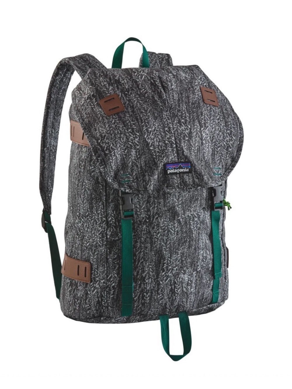Limited Edition print Patagonia Backpack (RARE)
